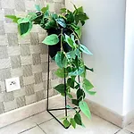 Sacramento Apartman Oullins